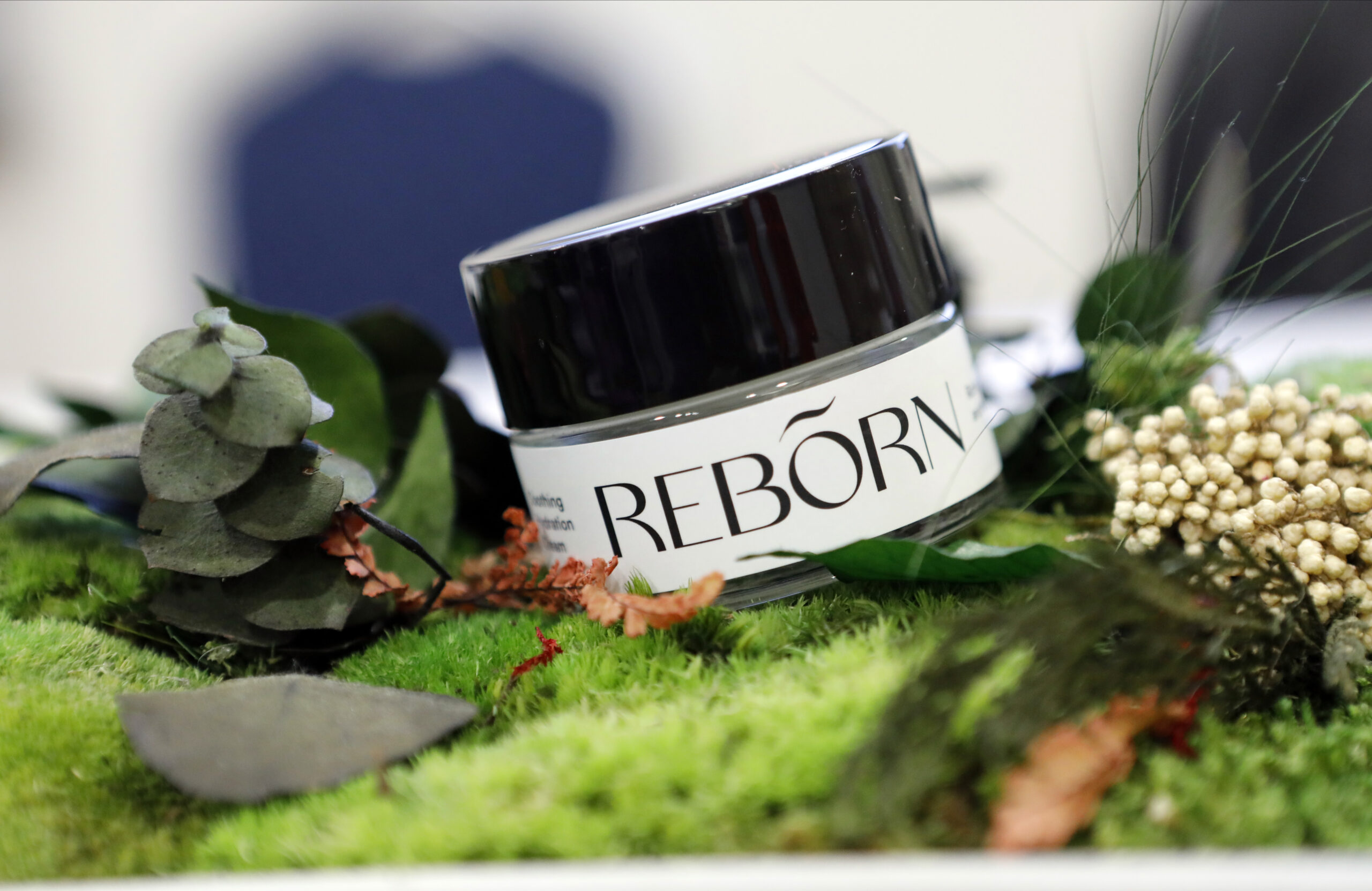 Reborn Story